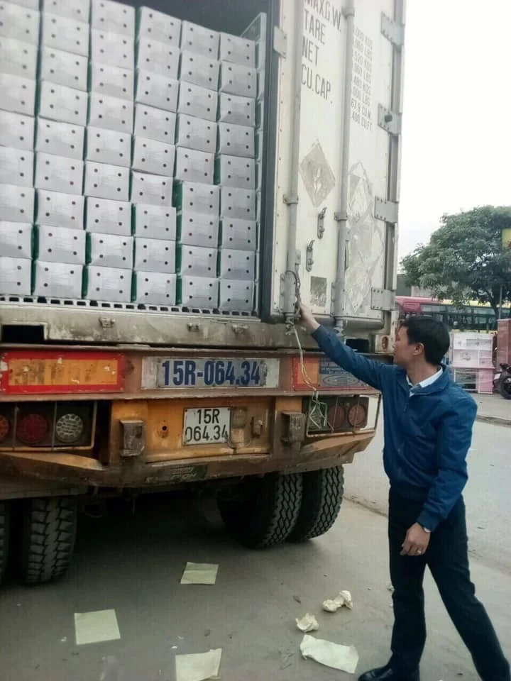 Экспорт свежих овощей, высококачественный оранжевый натуральный сладкий свежий Морковь из Вьетнама для экспорта