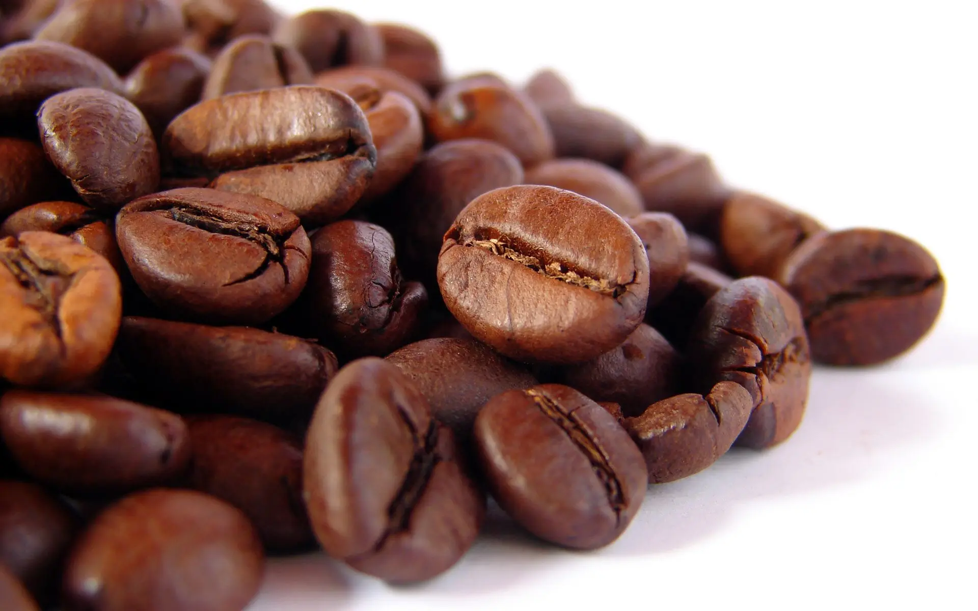 VIETNAM ROBUSTA COFFEE / ARABIA COFFEE BEANS / GREEN COFFEE BEAN( WHATSAPP: 0084 916 800 732 )