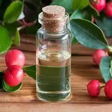 Wholesale High Quality and Reasonable Price Natural Wintergreen Essential Oil
