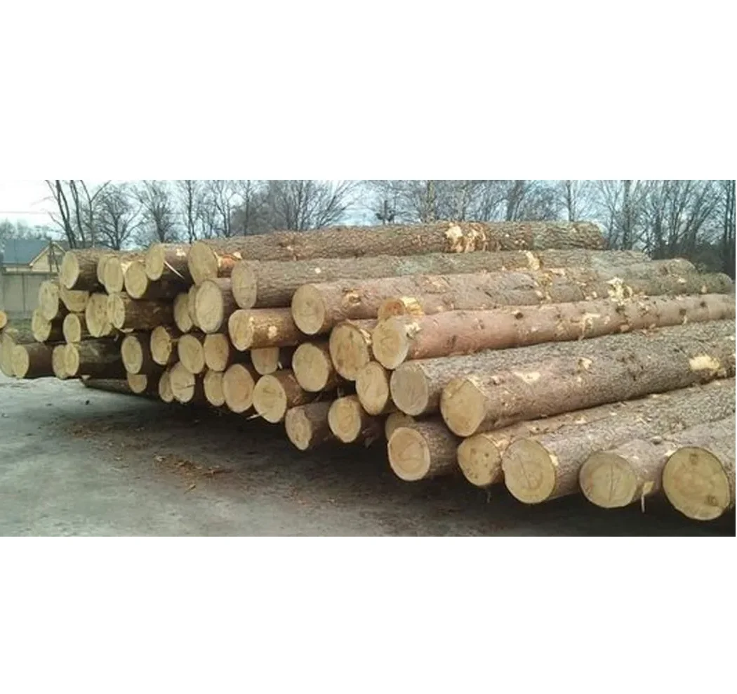 Kiln-Dried Seasoned Spruce Oak Pine Teak Walnut Round Logs-Diverse Hardwood Timber for Furniture Including Eucalyptus Wood