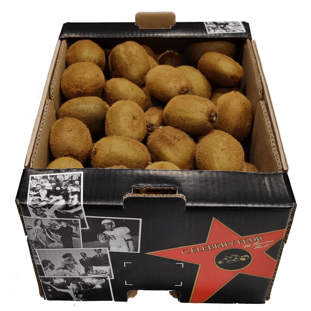 Italian Hayward Fresh Kiwi, 27 size, 105-115 grams, 10Kg Celebrity Fruit loose box, Green Actinidia chinensis