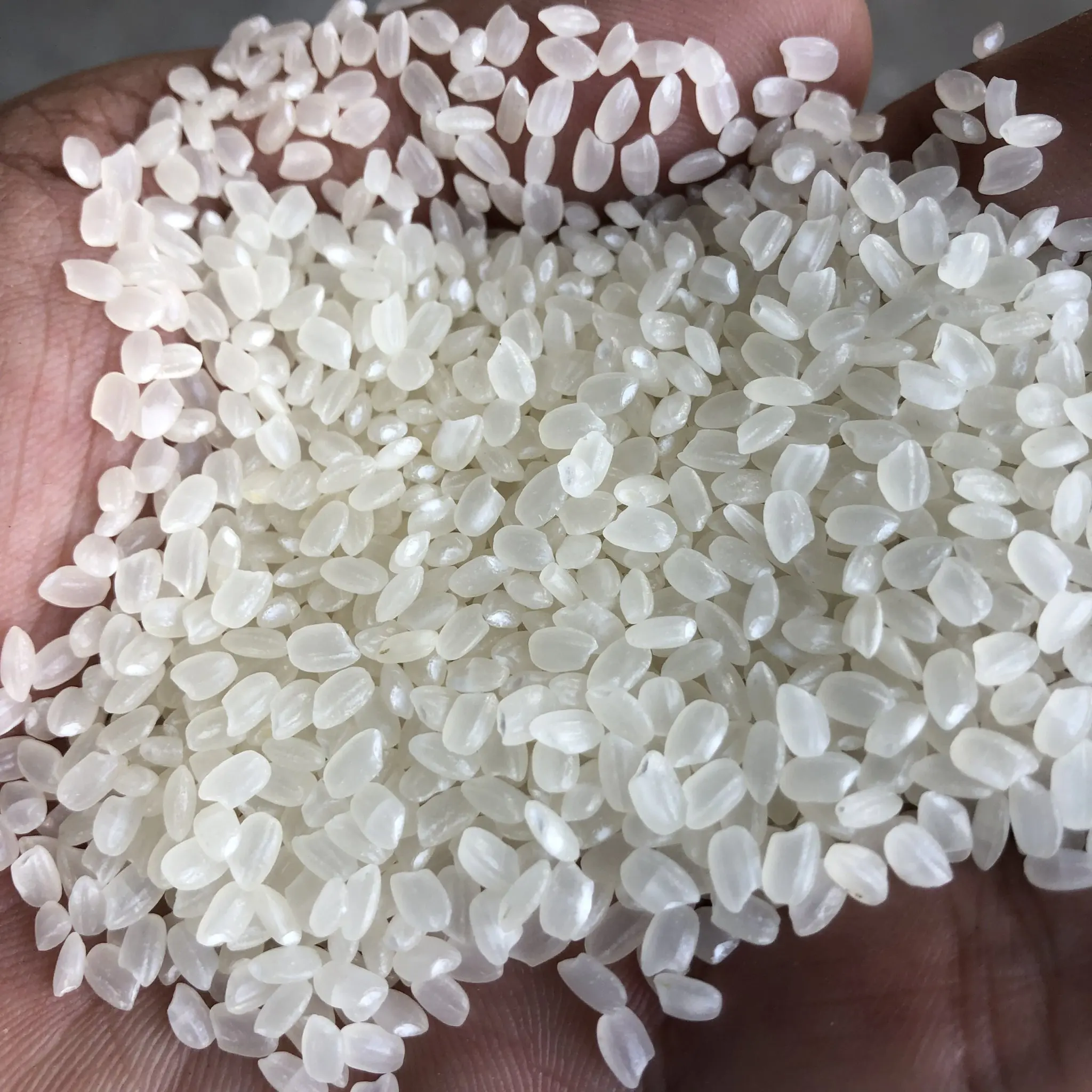 JAPONICA RICE HACCP CERT PRICE ORGANIC SHORT FOR SUSHI ROLLS GRAIN STYLE PACKING FROM JCC RICE FACTORY
