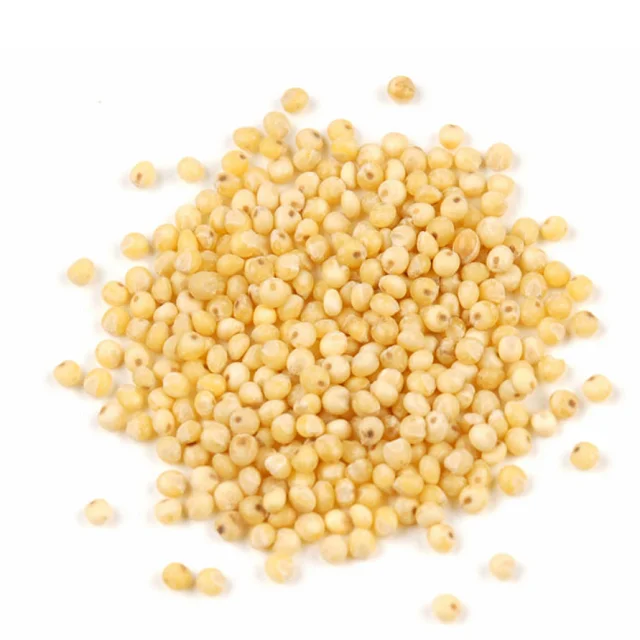 Cheap Price Rich Quality Natural Organic Pure Yellow pearl millet at Attractive Price In Bulk