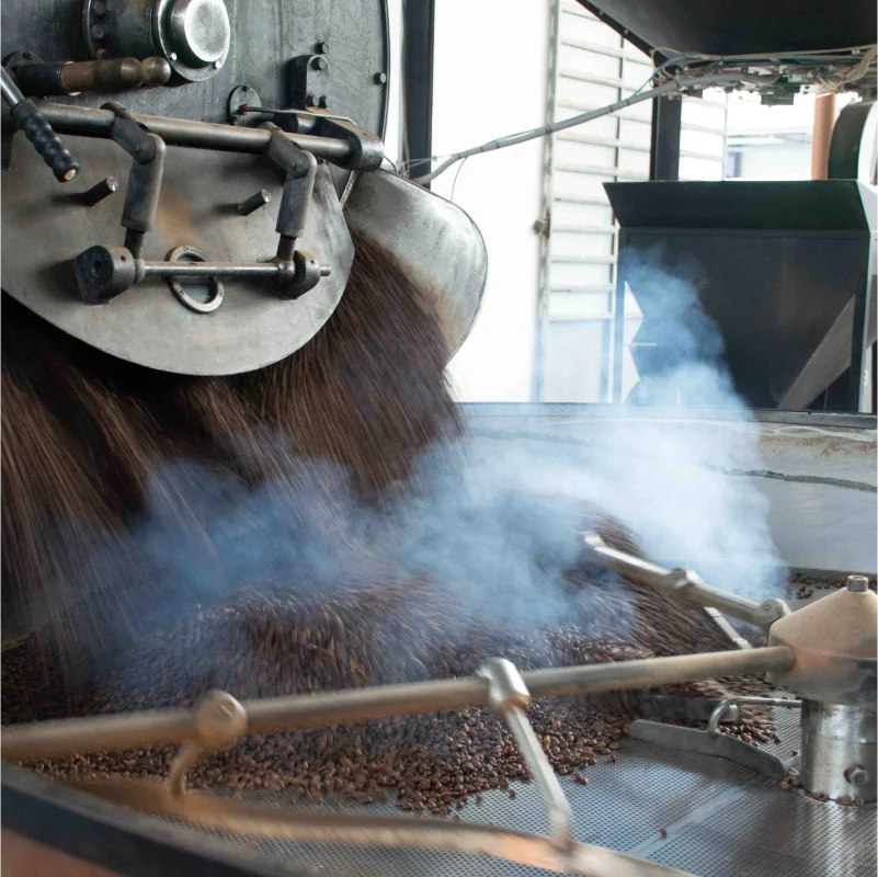 Private Label Custom Coffitaly compatible Espresso Point Coffee Capsules TOP ARABICA 100 pcs in flow pack per box