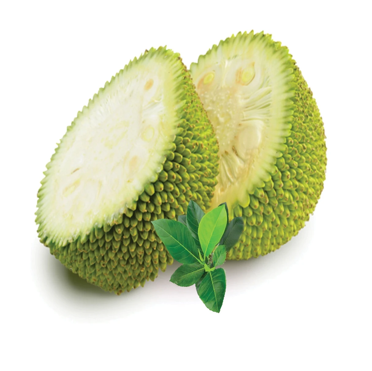 Summer Fruit Fresh Young Jackfruit Green Jackfruit Unripe Jackfruits High Standard Made From Vietnam