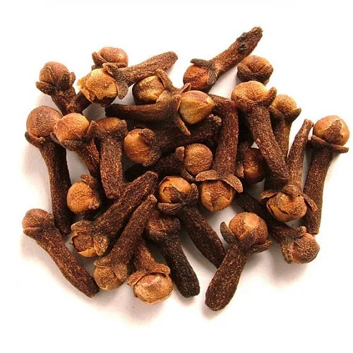 Hot Selling Organic Cloves Best Quality Herbs and Spice Cloves at Best Price from Indian Exporter Aromatic high quality cloves