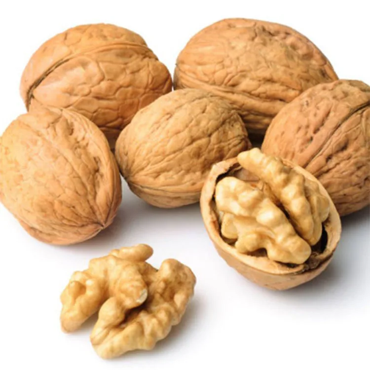 Hot Sell High Quality Bulk Natural Dried Walnuts Raw Kernels Direct Sale from Australia China