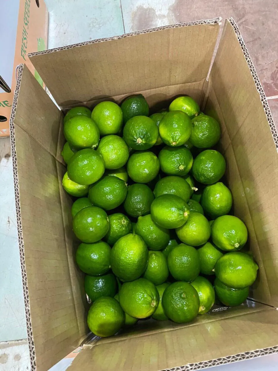 Competitive Price Green Natural Fresh Lemon Sour Taste Used For Beverage Wholesale Orders Origin From Vietnam