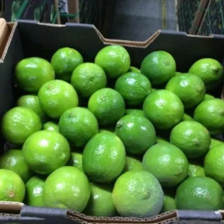 Lemons Fresh for sale/ Fresh Green Seedless Lime Vietnam/ Wholesale GREEN LEMON in Hoang Kim Viet Nam