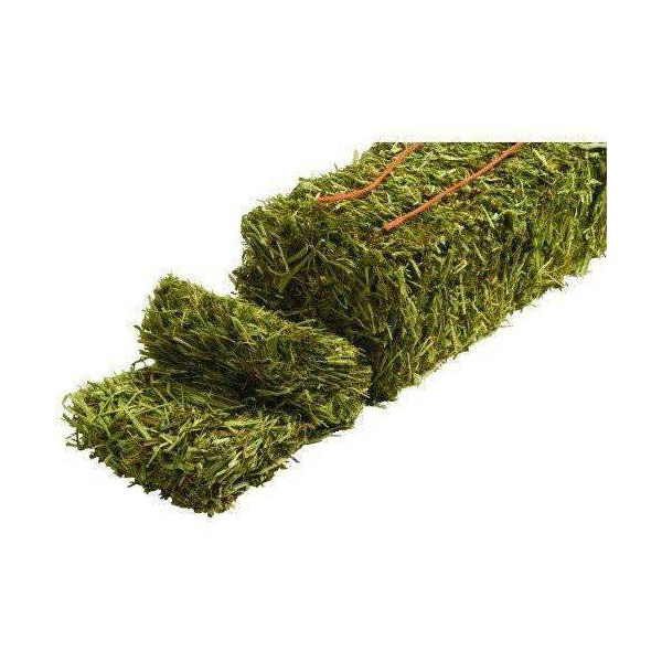 Trending Sale Wholesale New Best Quality Alfalfa Hay Timothy Hay and Bermuda Hay for Sale