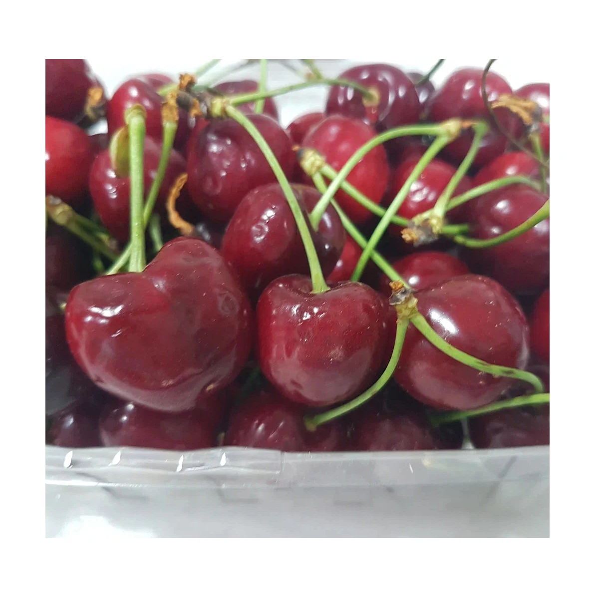 High grade fresh berries 5 kg in carton box and MAP package berries from Uzbekistan fresh cherry for food