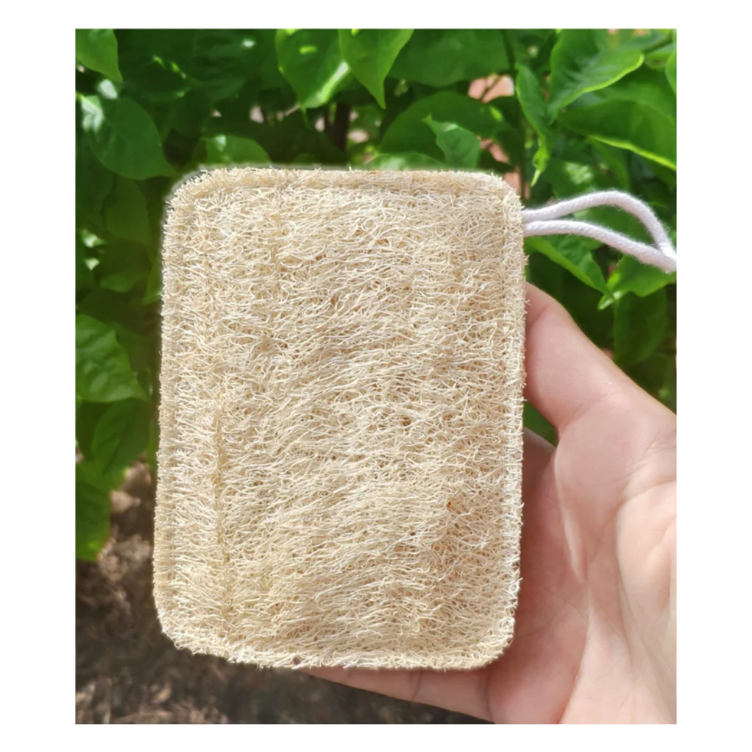 Decorative Eco-friendly Lufa Sponge Loofah with Small Shape Free Bath 99GD