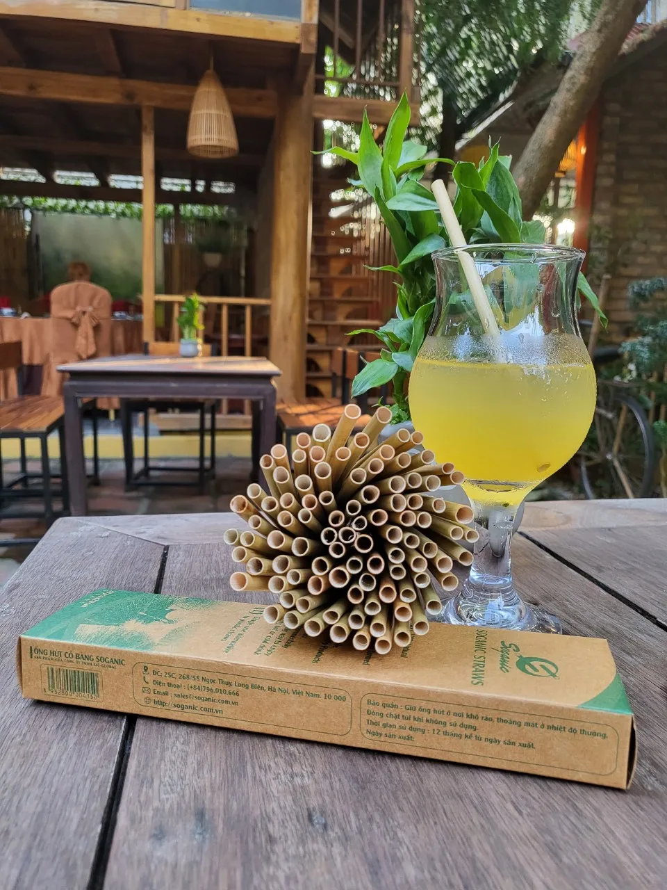 DRIED GRASS STRAWS Eco friendly Grass Straws Pasta Drinking Biodegradable Disposable Straws