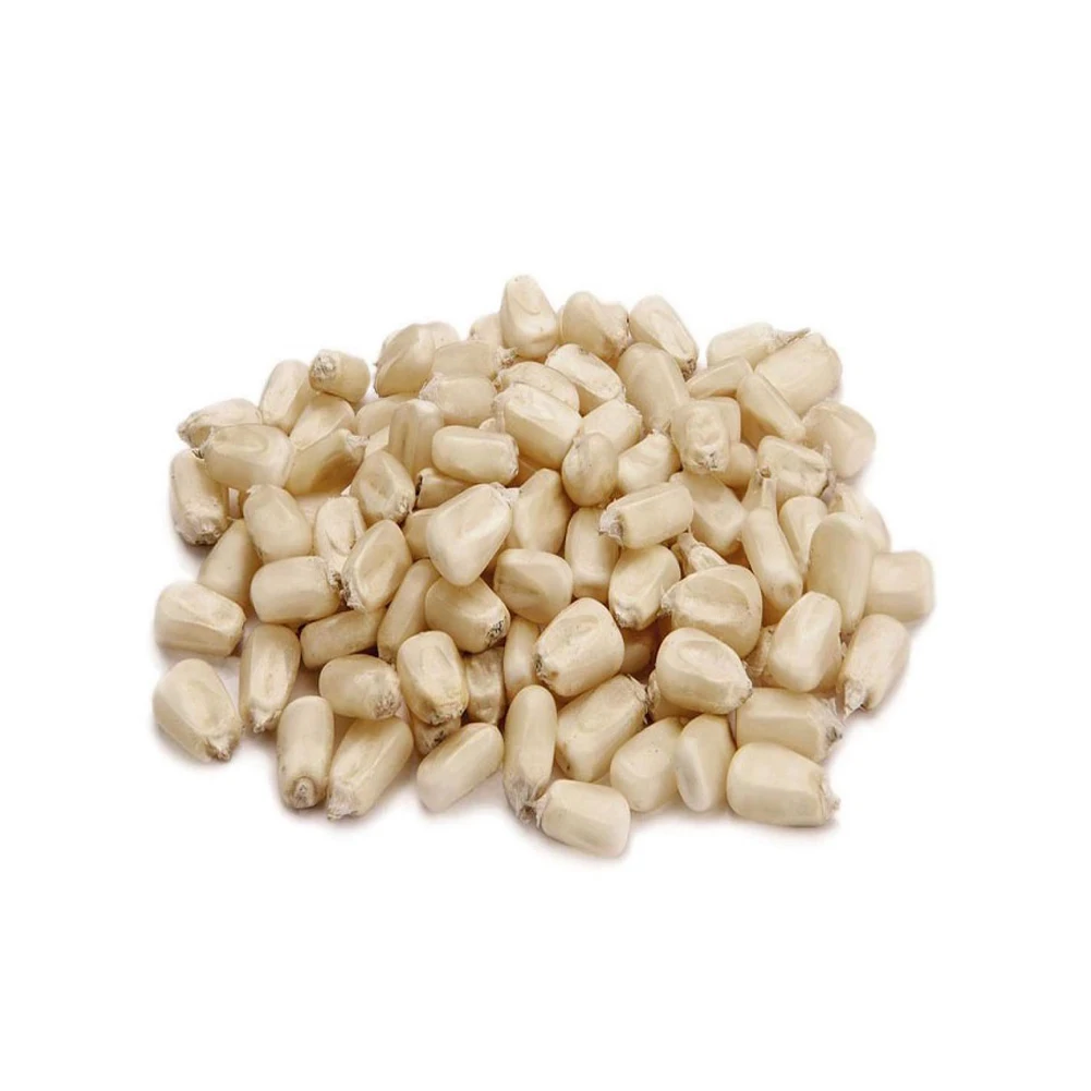 Top Selling White Maize Corn Yellow Maize Export Quality Stock Available For Sale