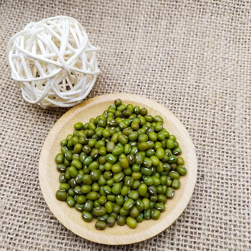 Высокое качество лучшие продажи фасоль оптовая продажа высокое зеленый