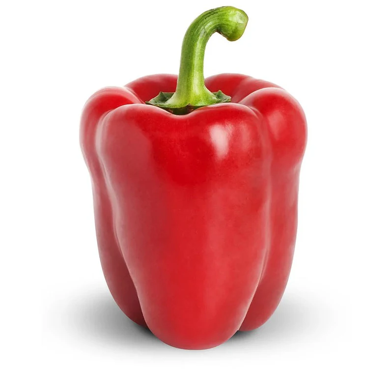 fresh Capsicum, fresh pepper, fresh bell pepper Natural Capsicums Tropical & Sub-Tropical Fruit Packed In Box Manufacturer