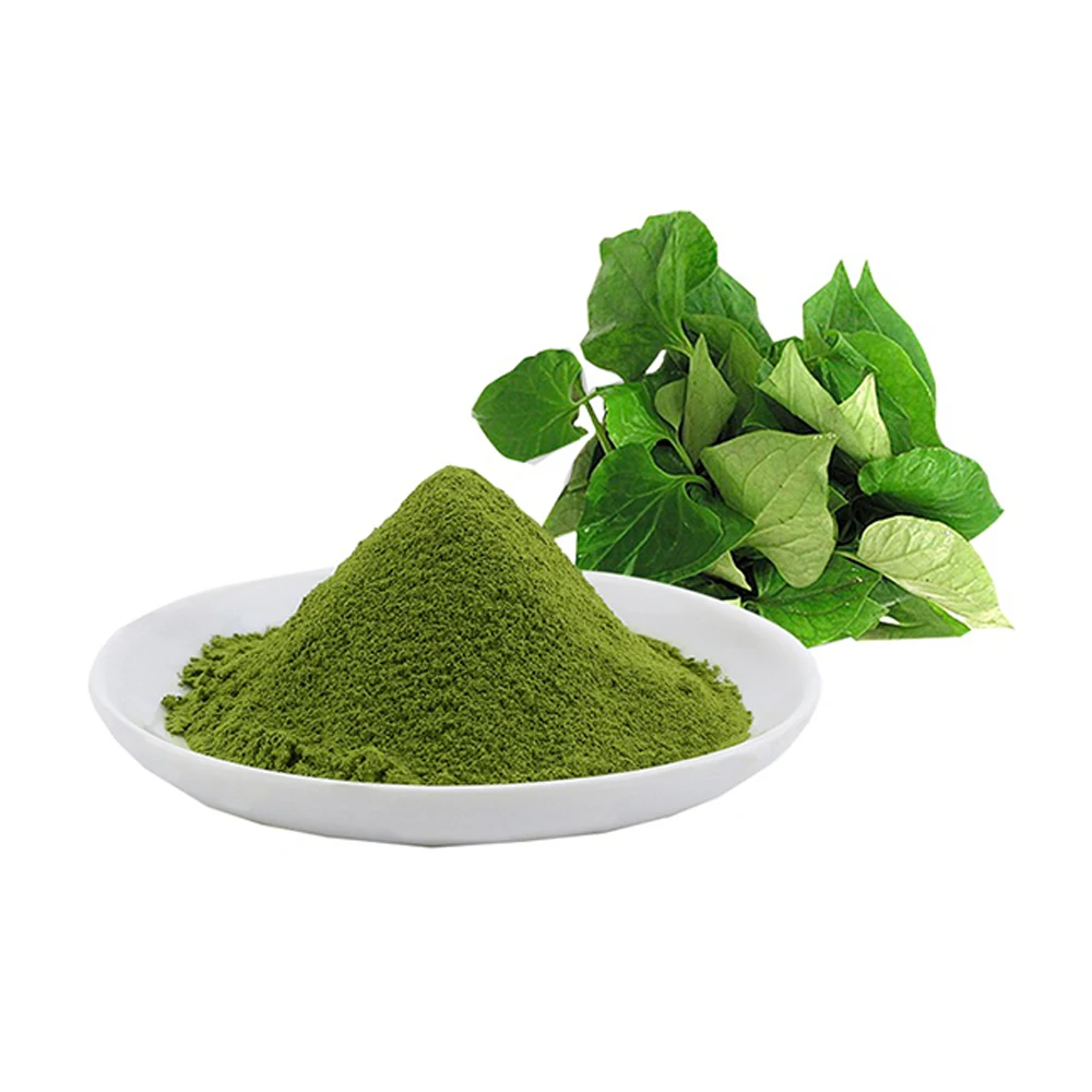 Top Quality Organic Powder Lettuce Extract Wholesale Price Food Additive