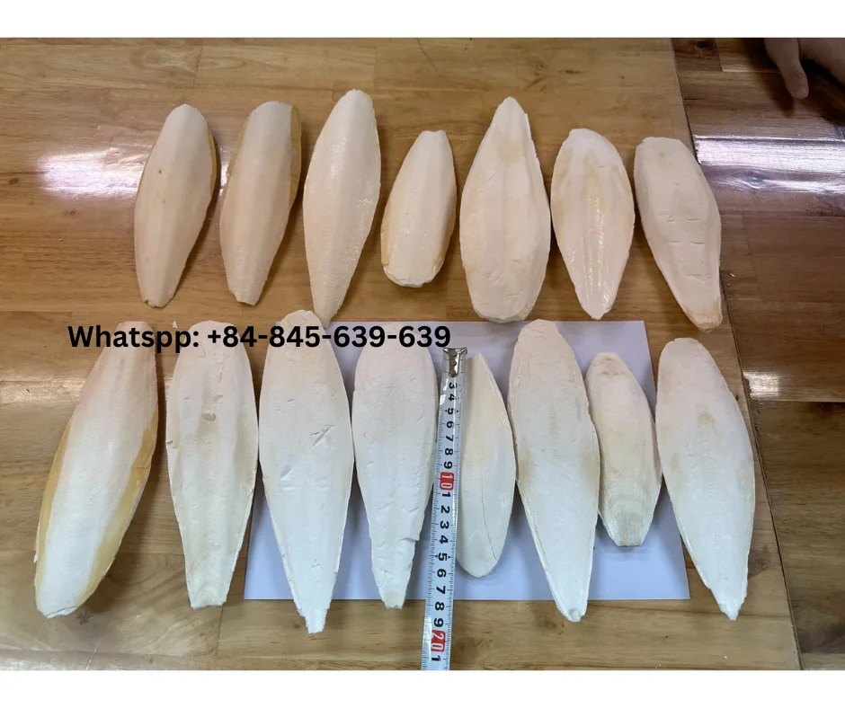 Natural Cuttlefish Bone Essential Calcium for Birds and Reptiles/ Premium-grade cuttlefish bone for calcium supplementation.