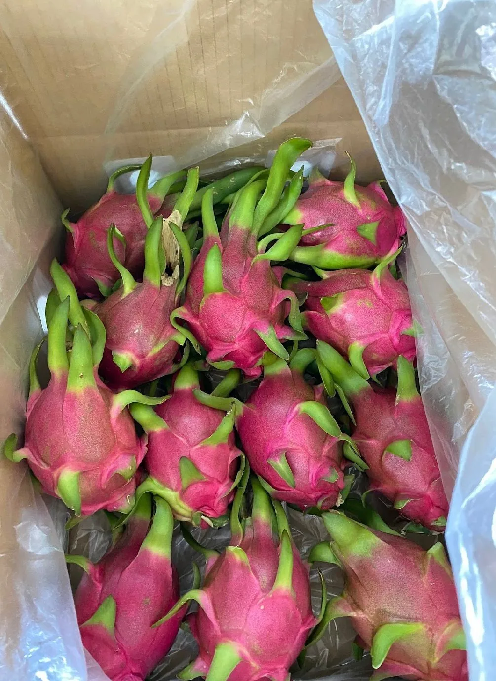 Fresh Dragon Fruit Red and White Dragon From FARM Origin Vietnam Best Price For Export  Top Supplier Fresh Fruits And Vegetables