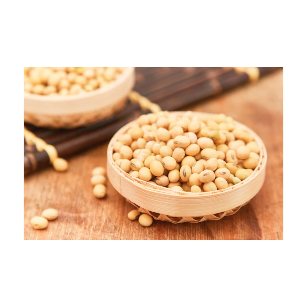 NON GMO Soybean Available for Cheap Price / High Quality Soybean/Premium Quality Non GMO Yellow SoyaBeans