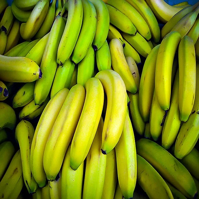 Свежий Cavendish банан зеленый и желтый цвет A сорт