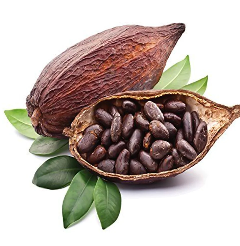 Organic Cocoa Beans For Sales