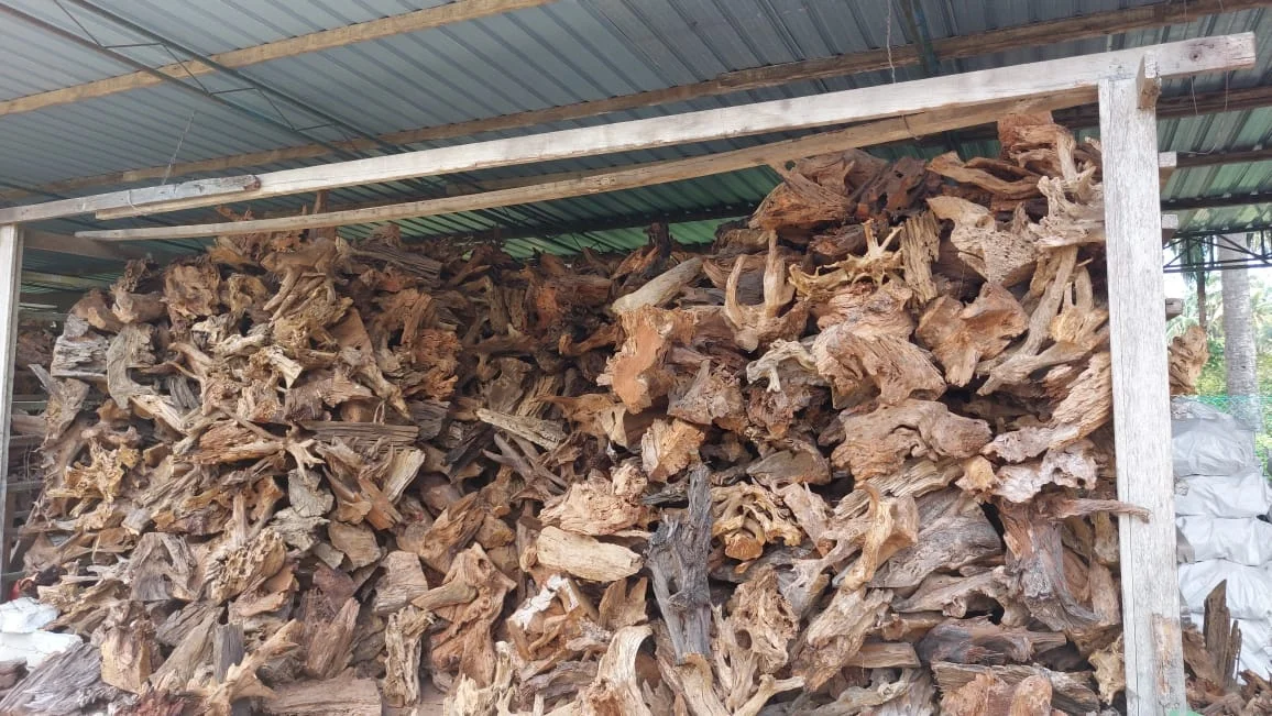 Wholesale Driftwood Grade A Quality Different Size Natural Mangrove Wood Spider Driftwood For Mangrove Aquarium Decoration