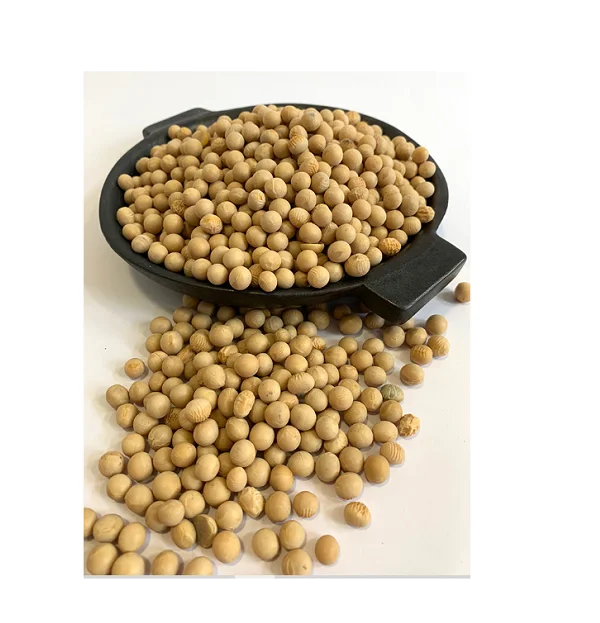 Order Special Offers on Soybean Seed Indulge in Nutrient-Rich Seeds for Successful Farming at Discounted Prices