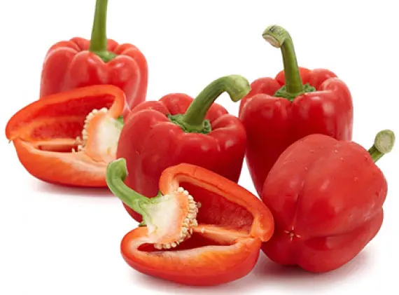 Good quality  Fresh Capsicum Bell Pepper Smooth and Natural Red Yellow Green Skin from Vietnam top exporter Reasonable Price