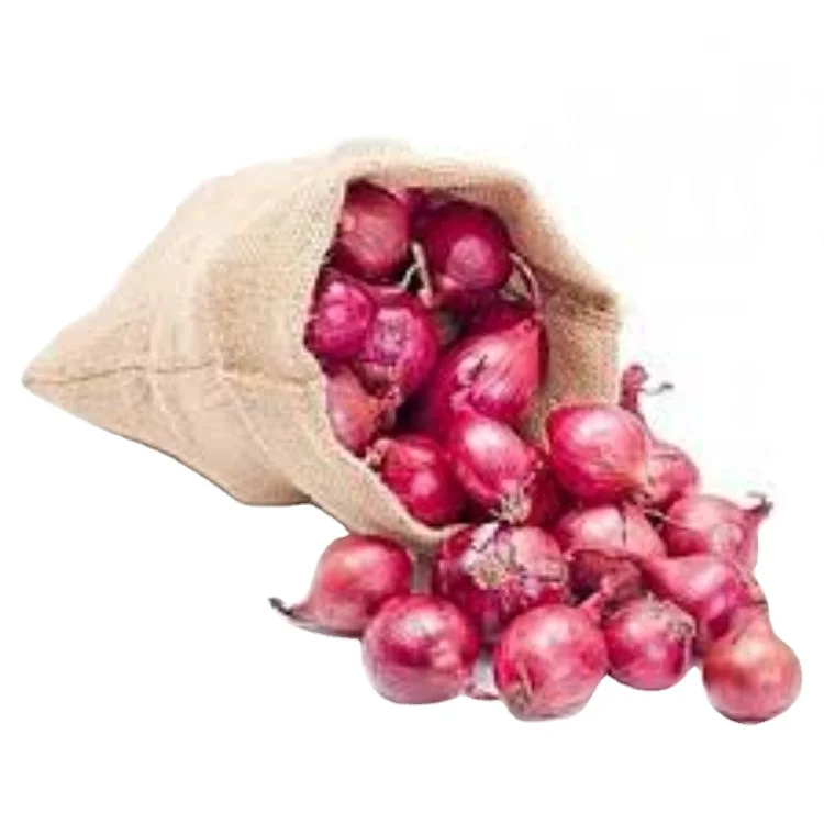 Short Day verity Red Bombay Onion Red Creole for vegetables Fresh Vegetable
