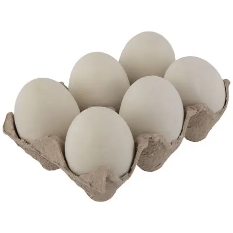 Ostrich Fertilized Eggs For Sale