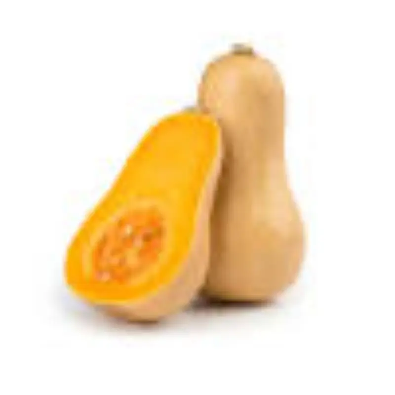 HOT SELLING HIGH QUALITY BUTTERNUT  FOR WHOLESALE