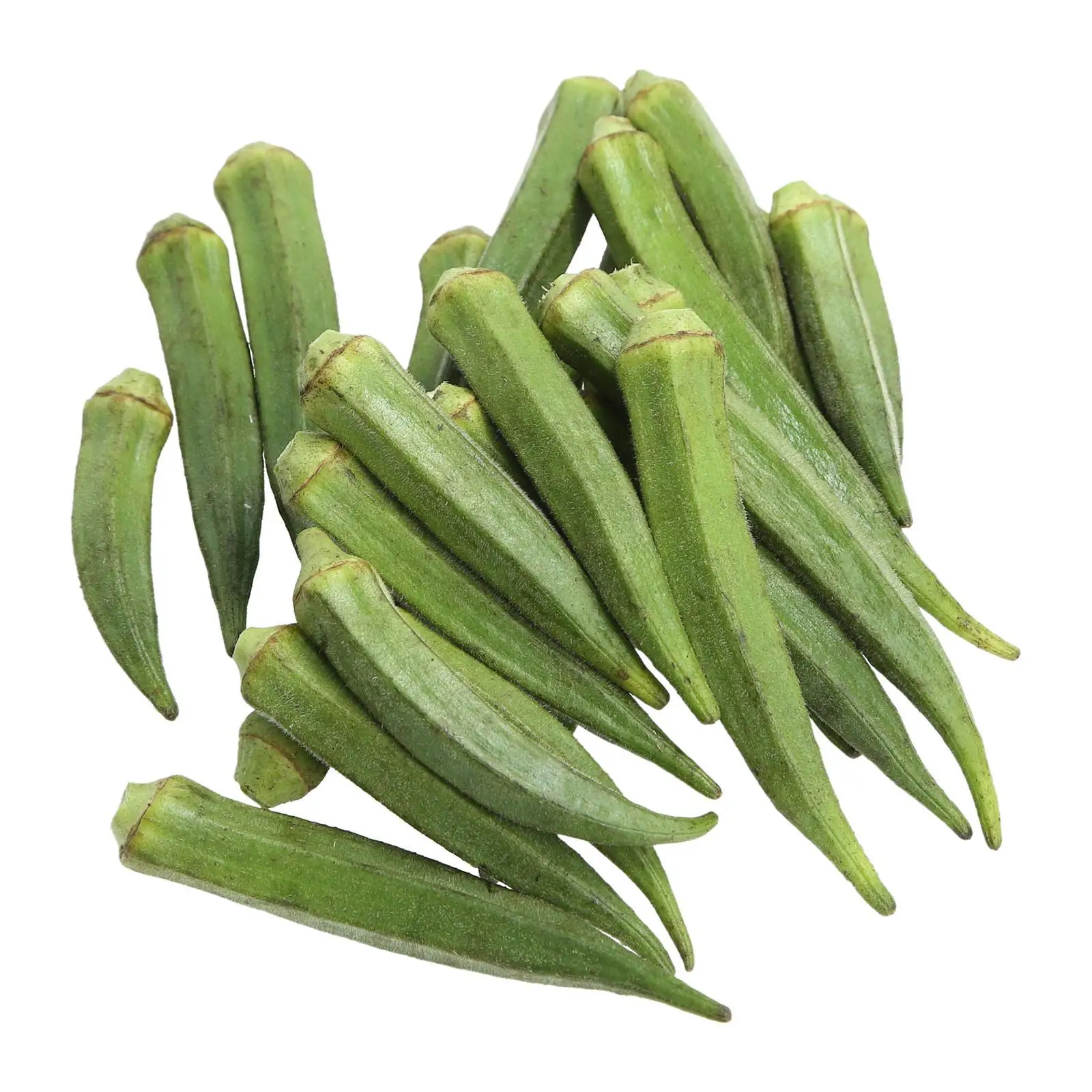Quality Natural Fresh Okra/ Fresh Vegetable For Sale/hot selling Fresh Vegetables Okra
