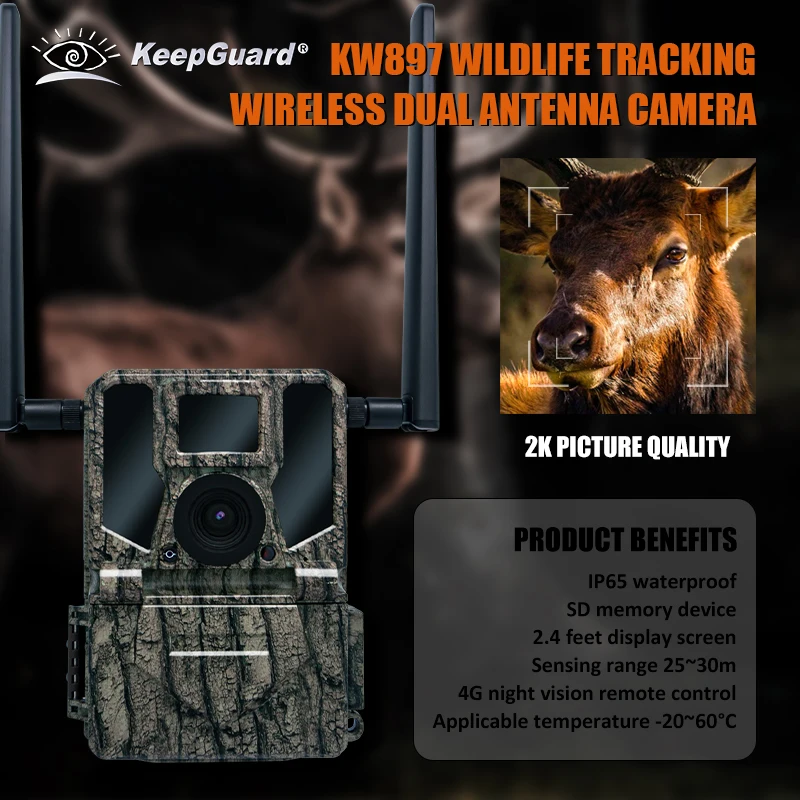 KW897 wildlife forest camera trail Wireless Dual-Antennas Hunting 4G Night Vision Remote Control Waterproof 2K Video  SD Memory