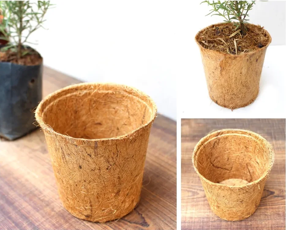 BEST SOLUTION FOR SEEDS PRODUCT COCONUT FIBER POT FOR GARDEN FLOWERS GROWING PLANT HIGH 11.5cm x WIDE 12cm FROM VIETNAM 2024