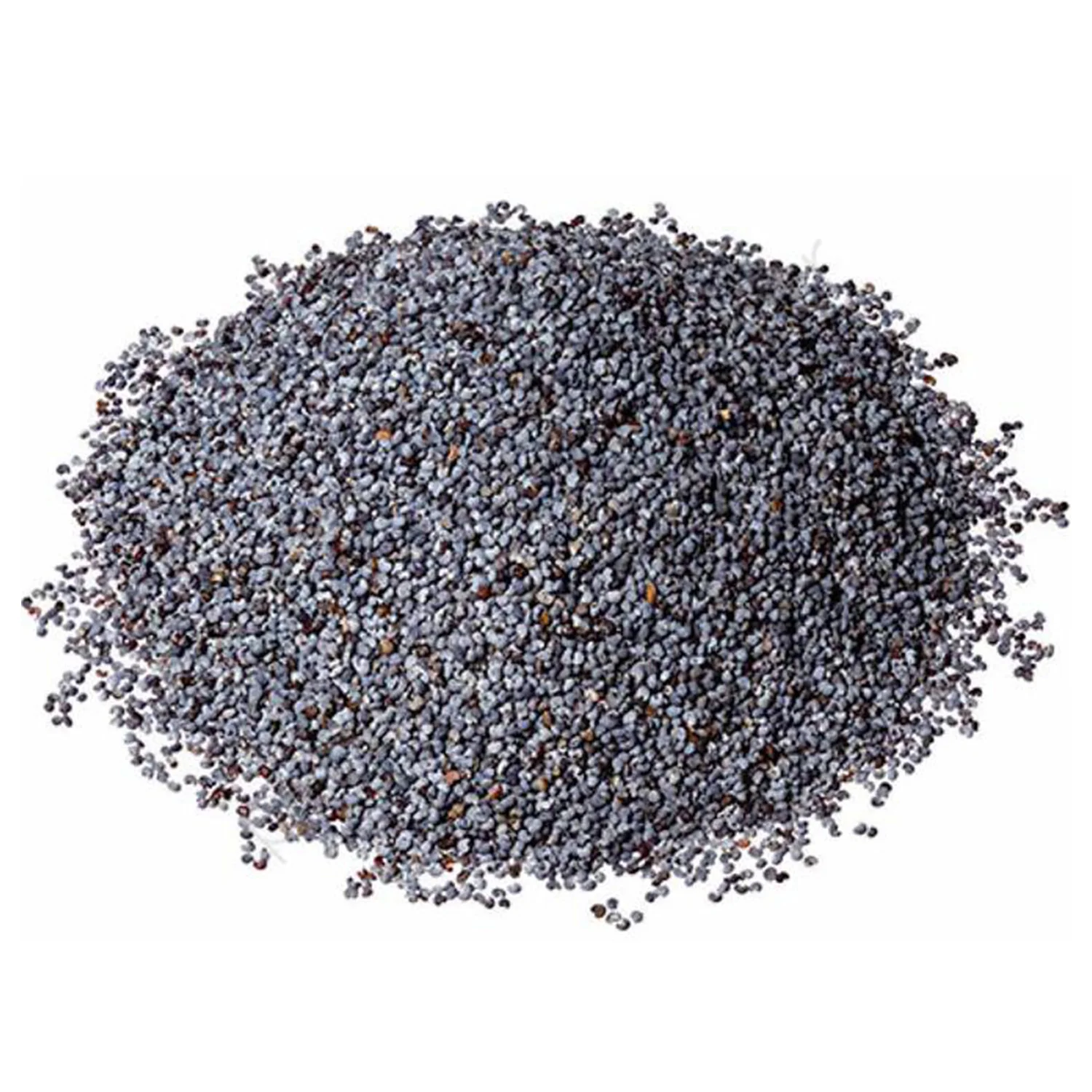 High Quality Unwashed Blue Poppy Seeds and Poppy Flower from Turkey