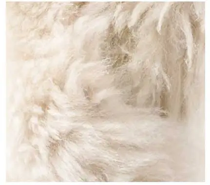 Best quality Alpaca wool from Peru Top Supplier