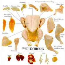 Chicken.jpg_220x220.jpg