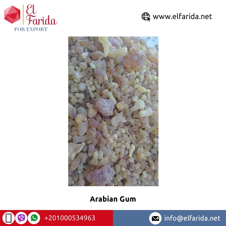 Egypt Origin Wholesaler Selling Best Quality Confectionery White Or Yellow Arabian Gum for Sale at Reliable Market Price