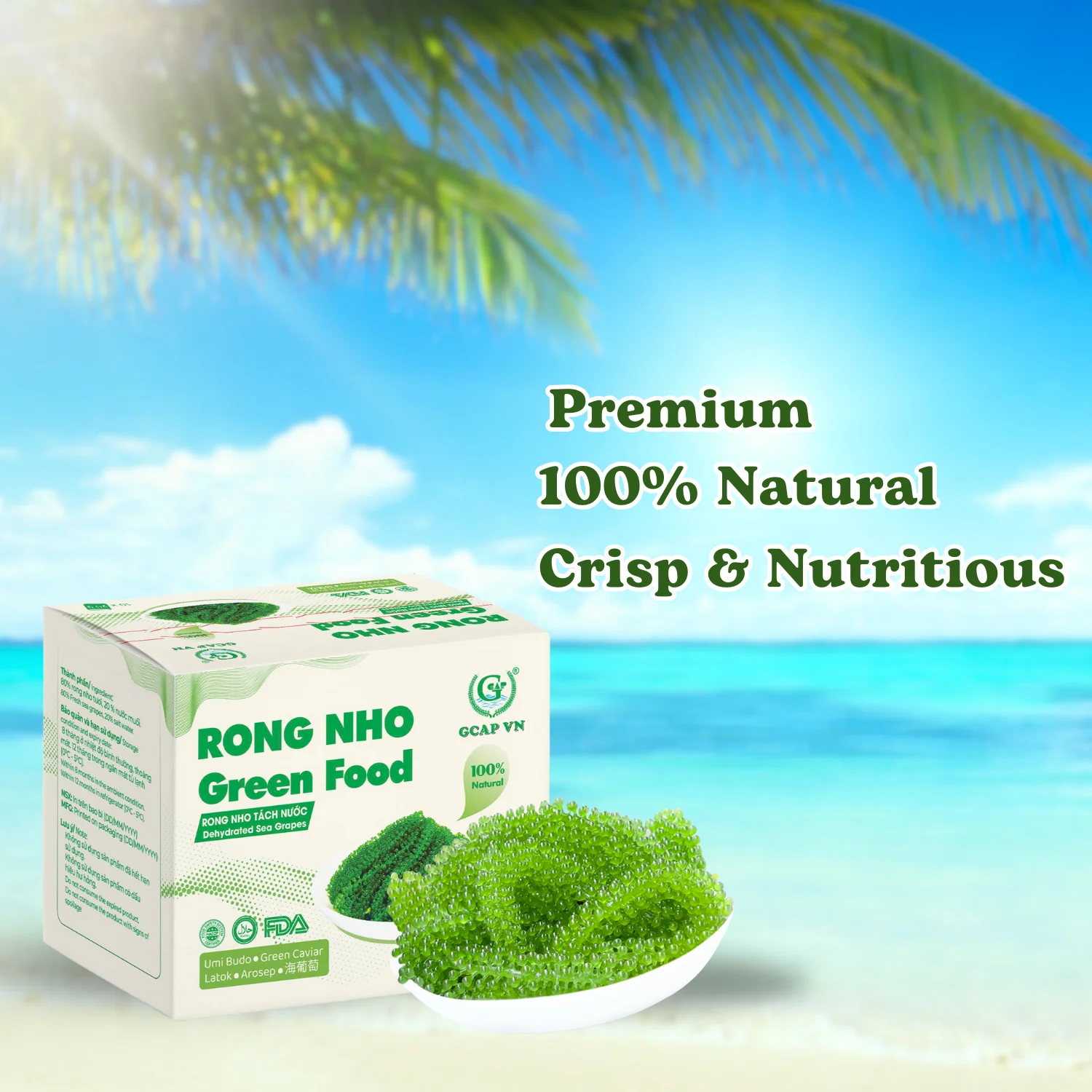 100% Organic Wild Craft Sea Grapes High Quality Salted Seaweed Seafood Dried & Fresh Halal Certified Packaged in Carton Box