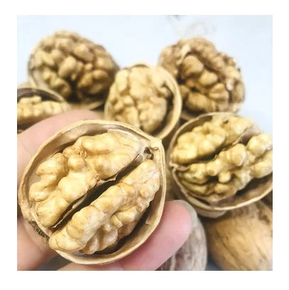 Peeled Kernel Walnuts High Quality Walnut Kernel Brazil Supplier Low Price Light Halves Walnut Kernels