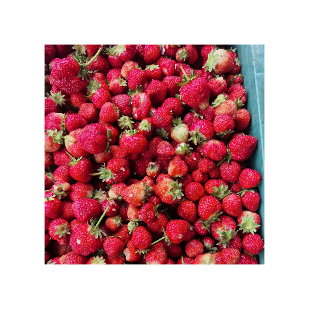 Hot Selling Certificated Freeze Dried Strawberry Freeze-dried Fruit Freeze Dried Strawberry Whole 15-25mm