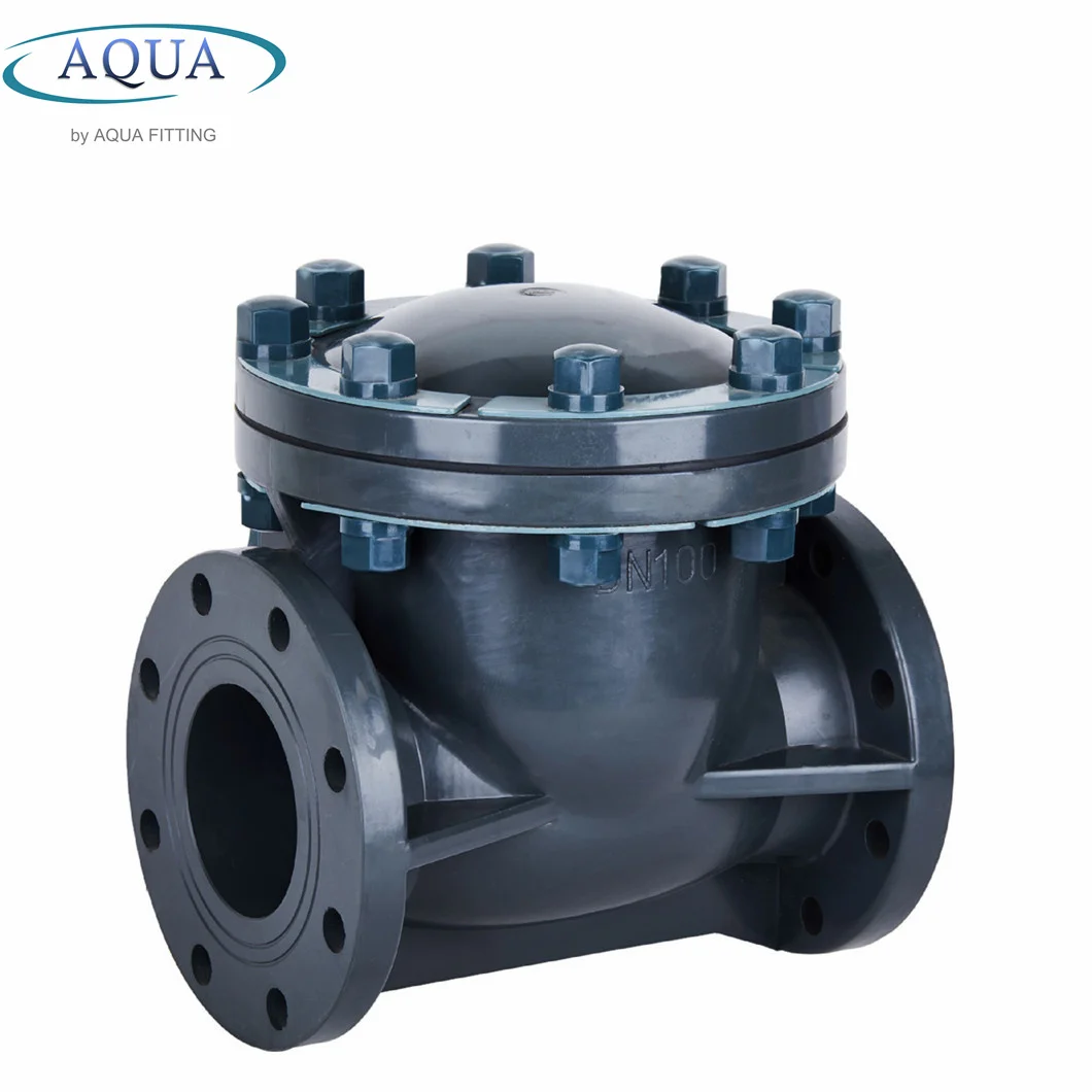 PVC Plastic UPVC Manual Valve Pipe Wafer Non Return Swing Type Check Valve