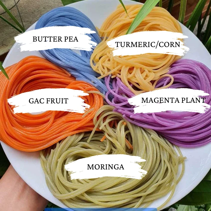 Cost-Effective Multi-Colored Rice Noodles | Gluten-Free | Ideal for Bulk Orders