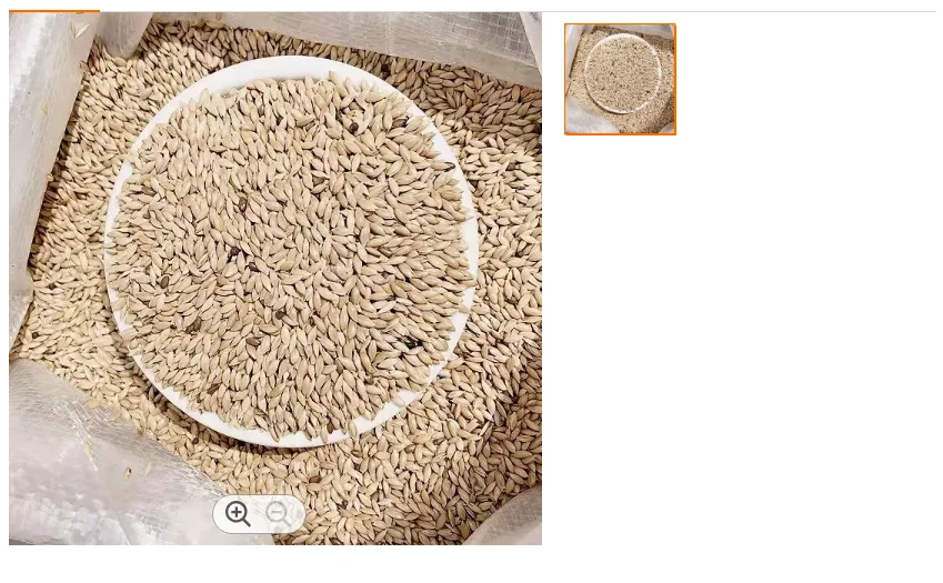 Canary seeds wholesale white, pointed millet bird food feed 25kg canary seeds grass seeds