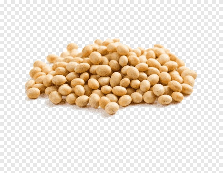 Animal Feed Soybean Meal