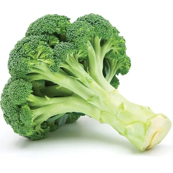 Direct Factory Wholesale Cheap Price Fresh Place Model Maturity Cultivation Broccoli Frozen Vegetable Broccoli From Bangladesh
