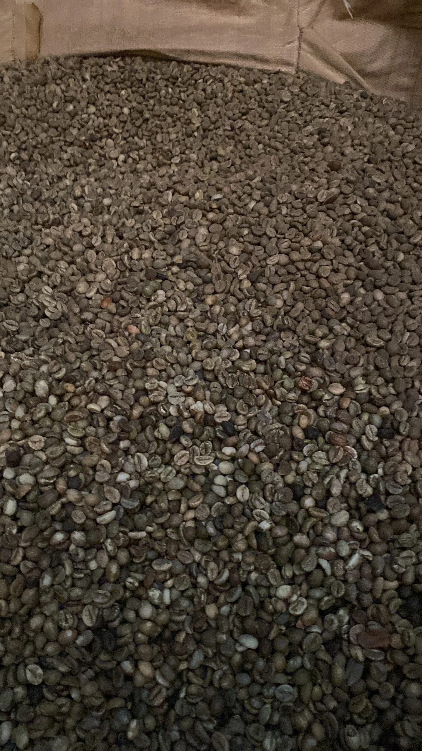 Новый Урожай 2024 вьетнамский зеленый кофе в зернах робуста и арабика Быстрая доставка низкая цена