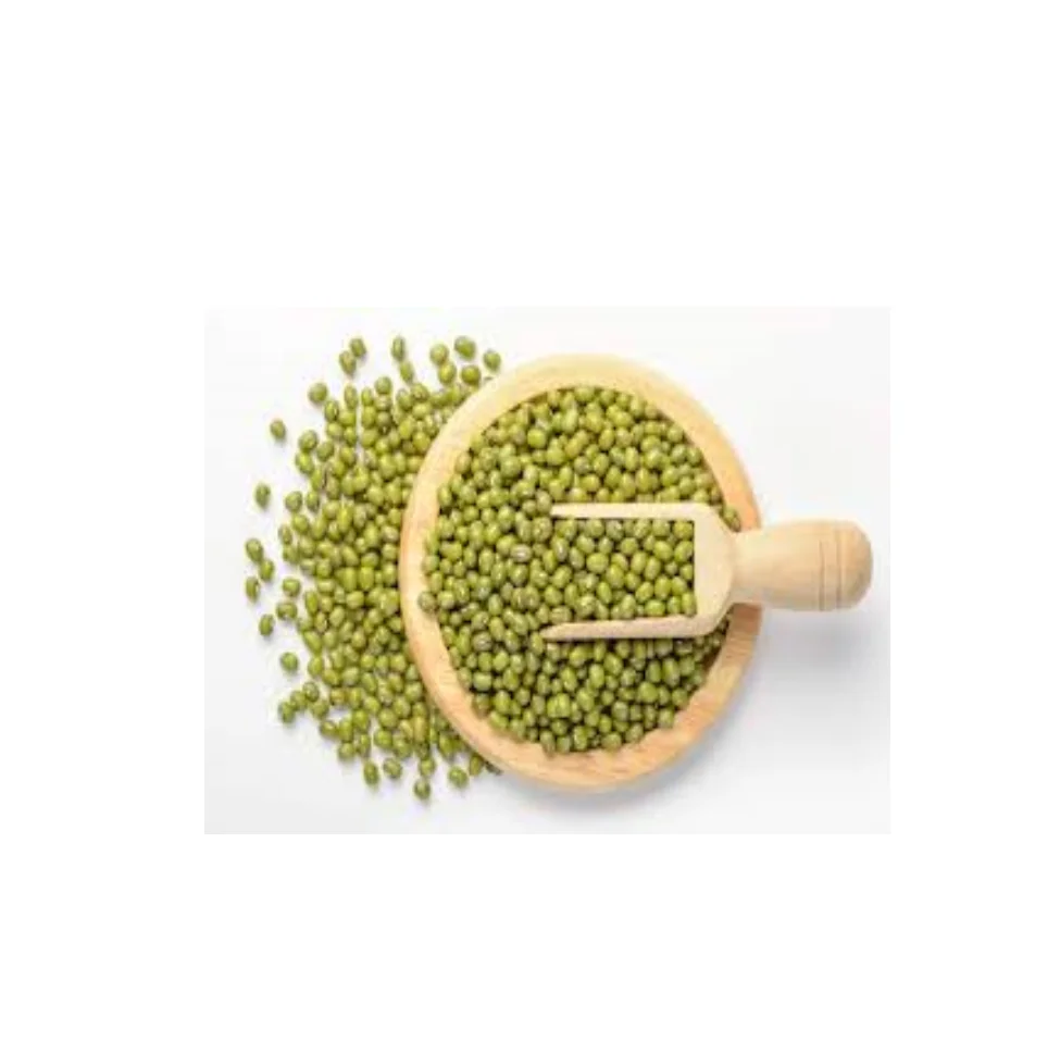 Selected Grade Of Green Mung Bean RL Supply Brand Quality Product From Thailand Manufacture Export Market