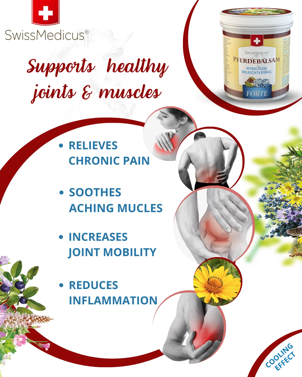 Amazon Best Seller SwissMedicus Pferdebalsam FORTE extra strong cooling, relief for heavy legs, Swiss quality, Menthol 500 ml